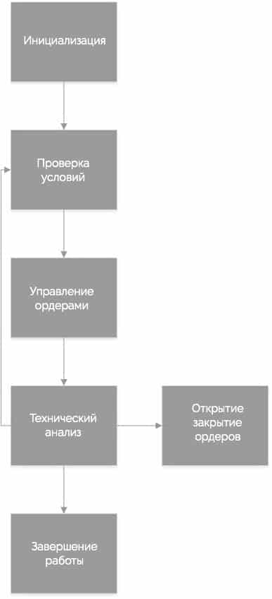 структура кода советника