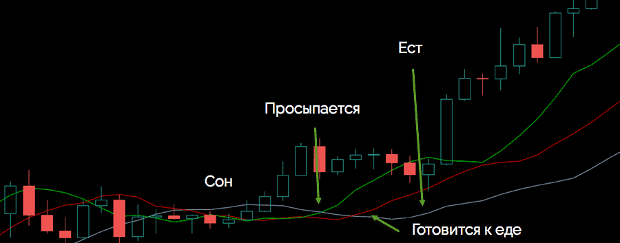 индикатор аллигатор на практике