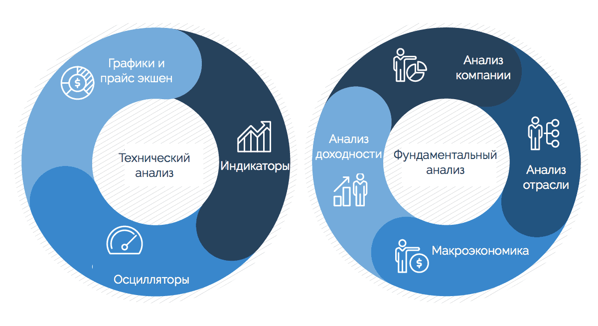 как выбрать акции с помощью технического или фундаментального анализа