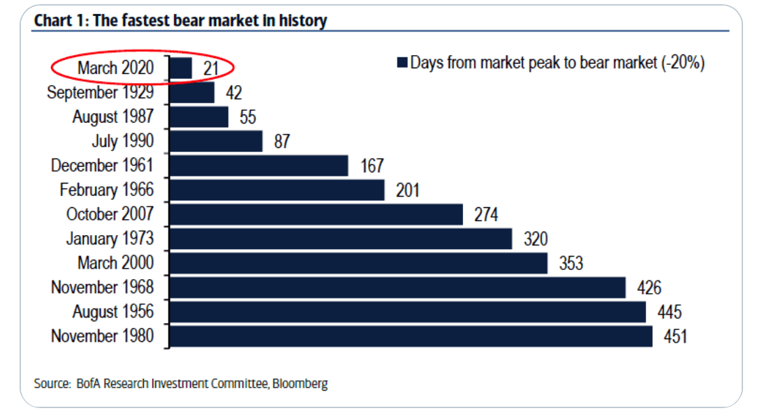 медвежий рынок
