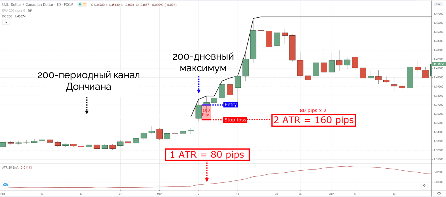 новая стратегия черепах